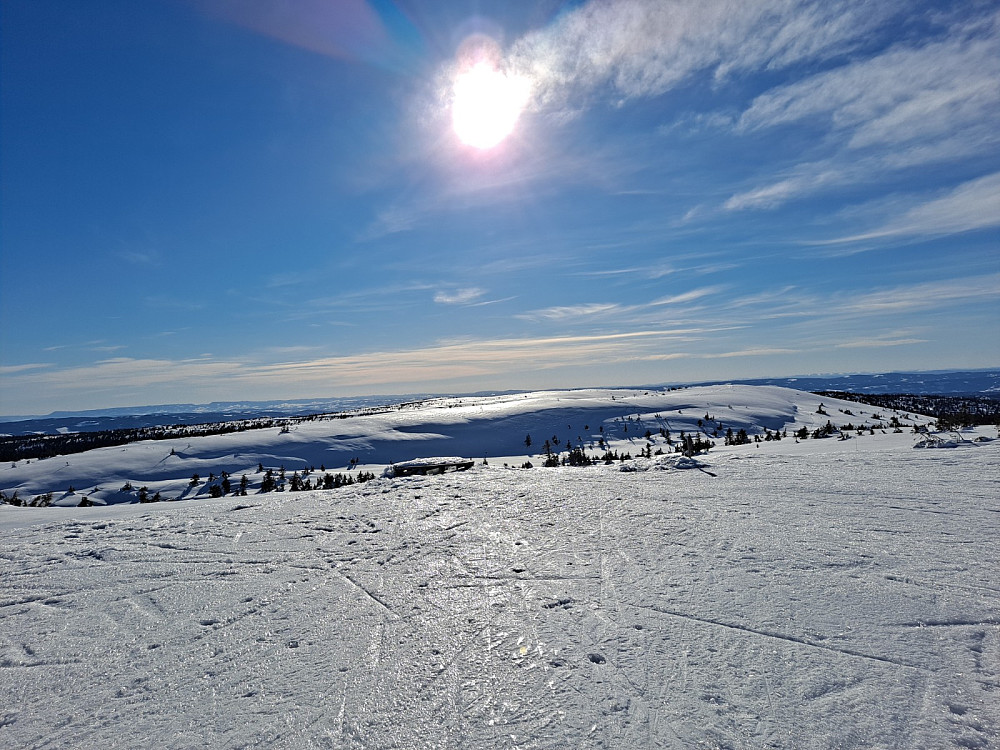 På Mostfjellet