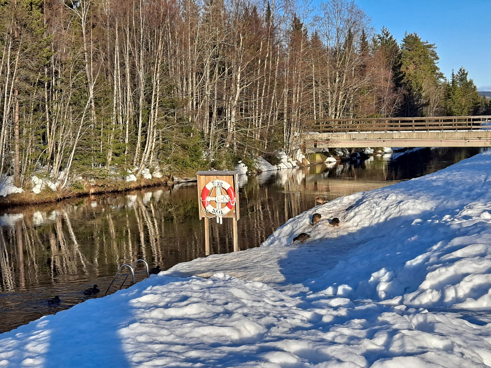 Ved Kanalen