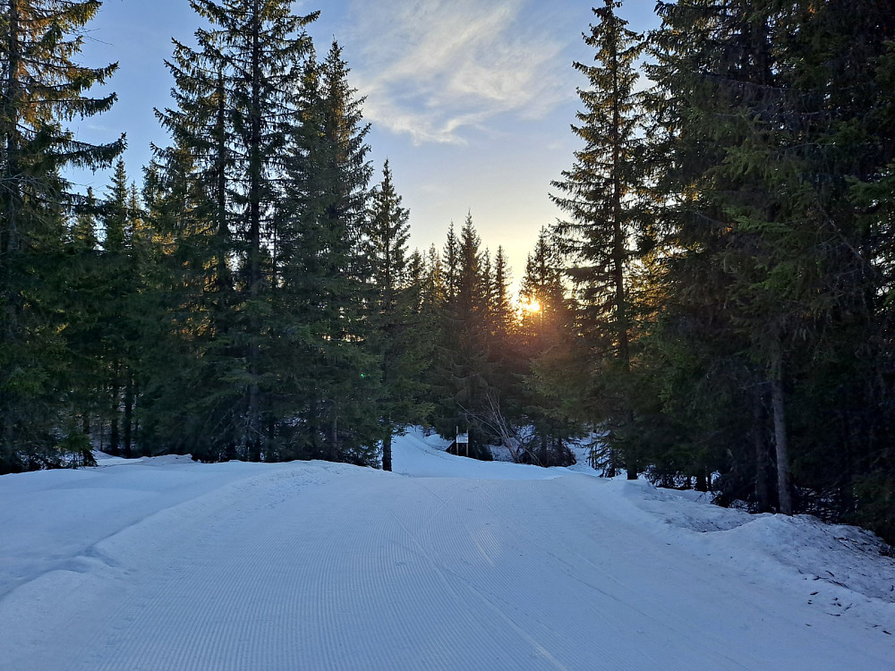På Kanthaugen