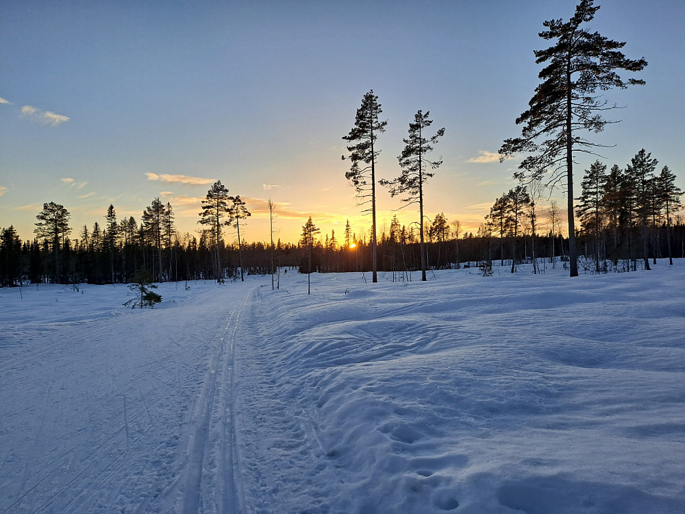 I løypa mellom Kubrua og Bottilflø