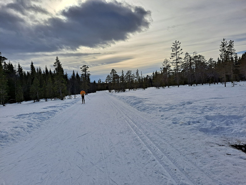På Sagmyra