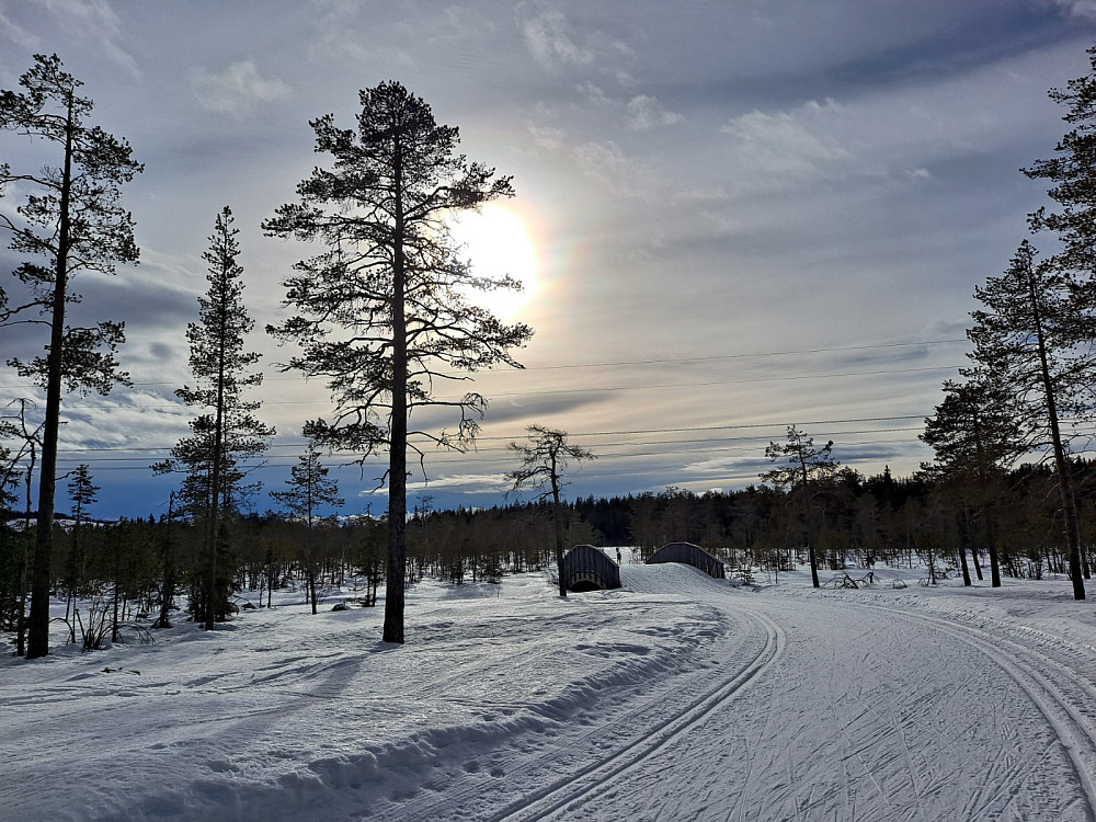Ved Kubrua