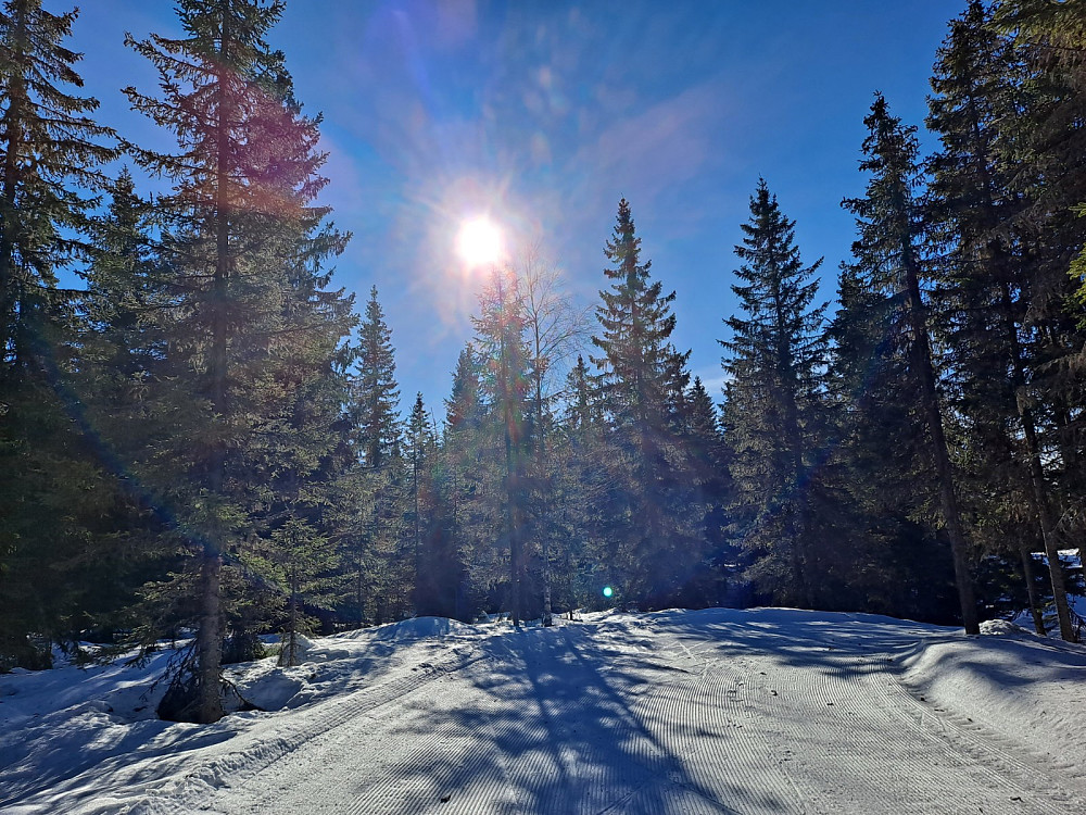 På Kanthaugen