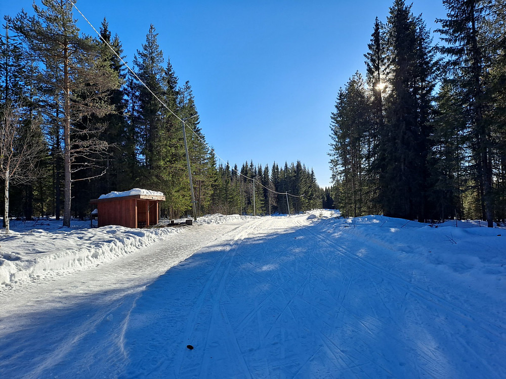 Ved Hammerkoia