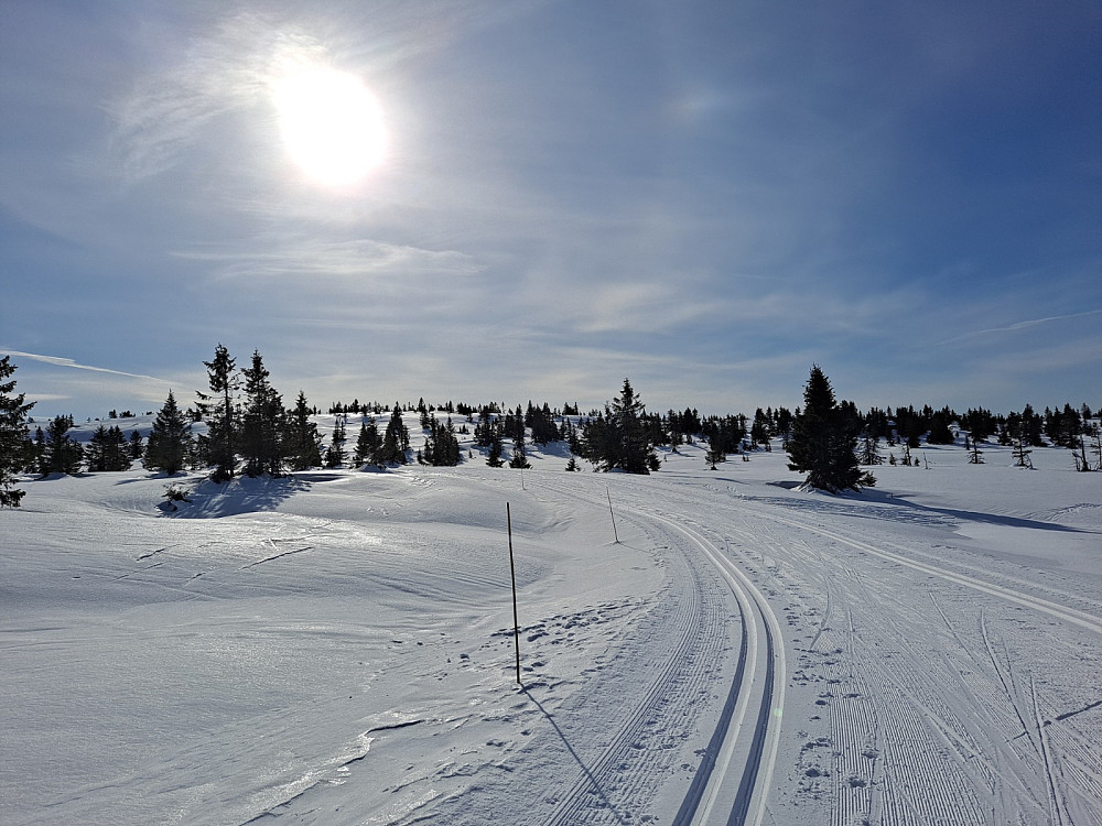 Ved Blautmyra