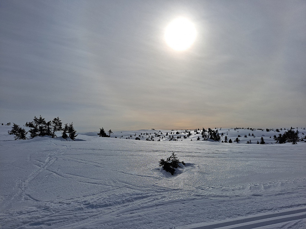 Mot Sjusjøfjellet