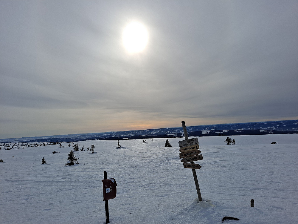 På Lunkefjell