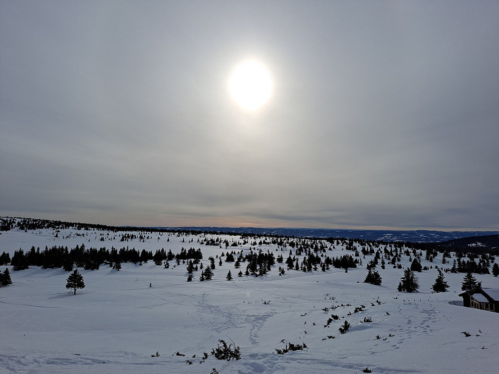 Ved Løvisåsen