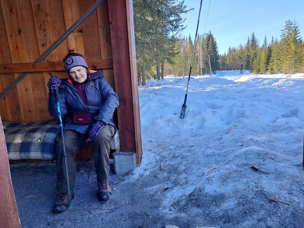 Ved Hammerkoia