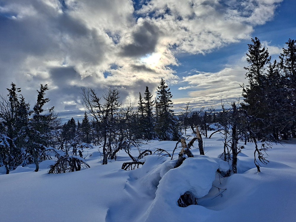 På Værskeitoppen