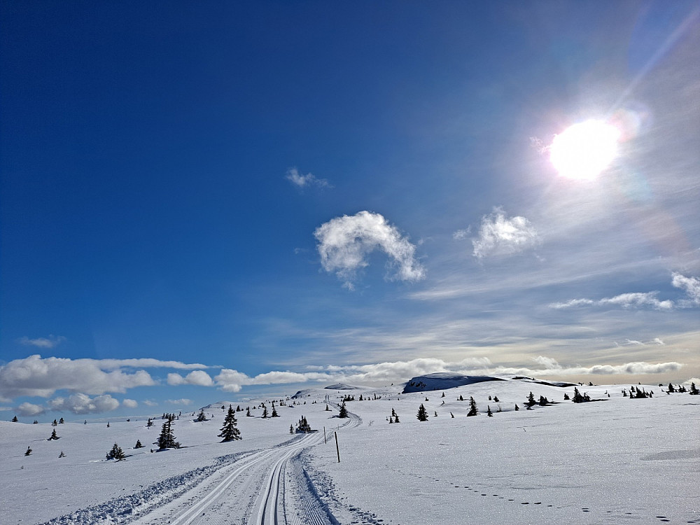 Innover mot Gammelhans
