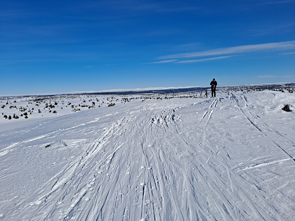 På Sjusjøfjellet øst