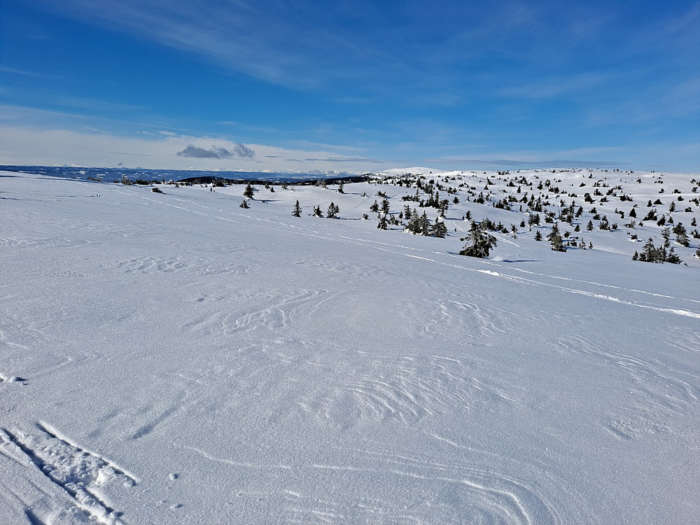 På Sjusjøfjellet øst