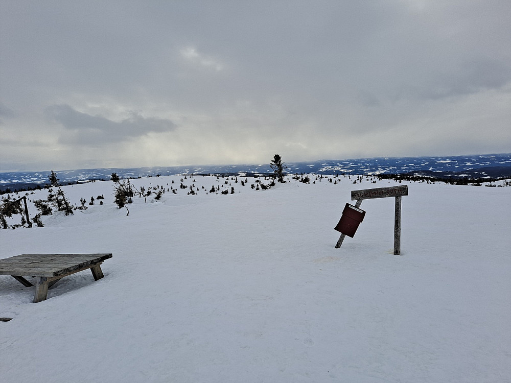 På Sjusjøfjellet