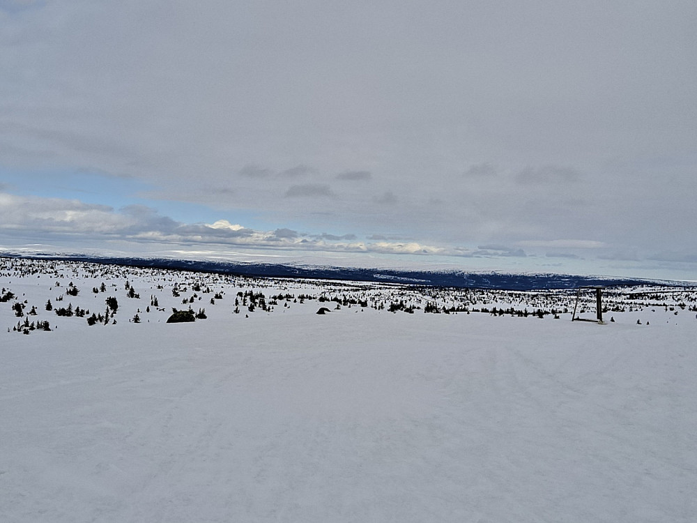 På Sjusjøfjellet øst