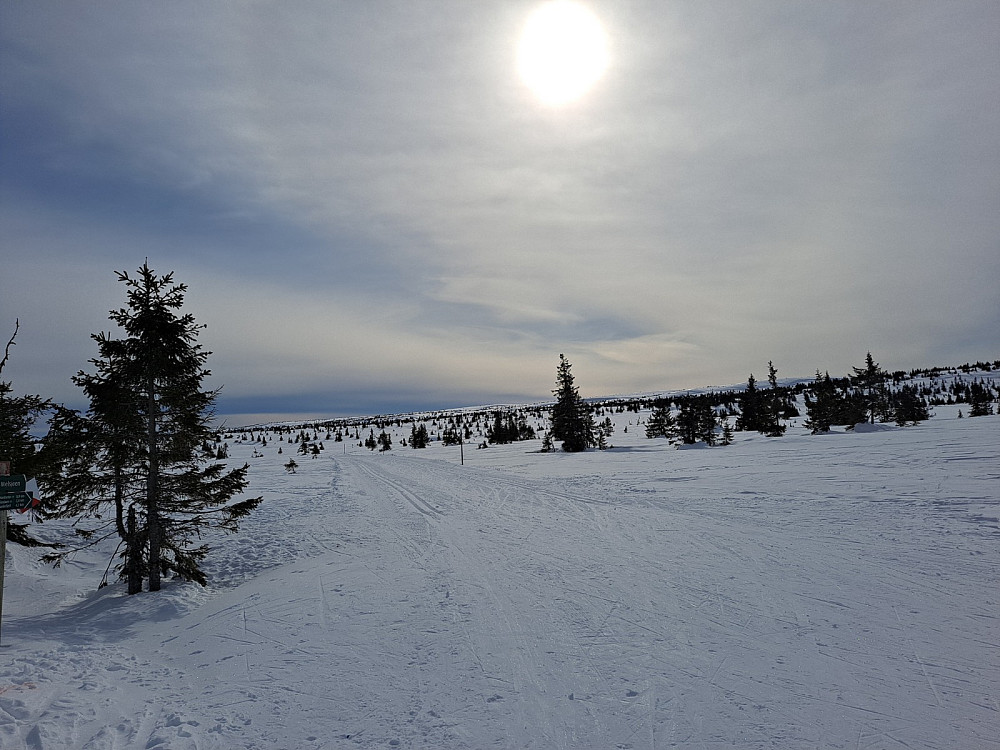 Ved løypekrysset ved Melsjøen