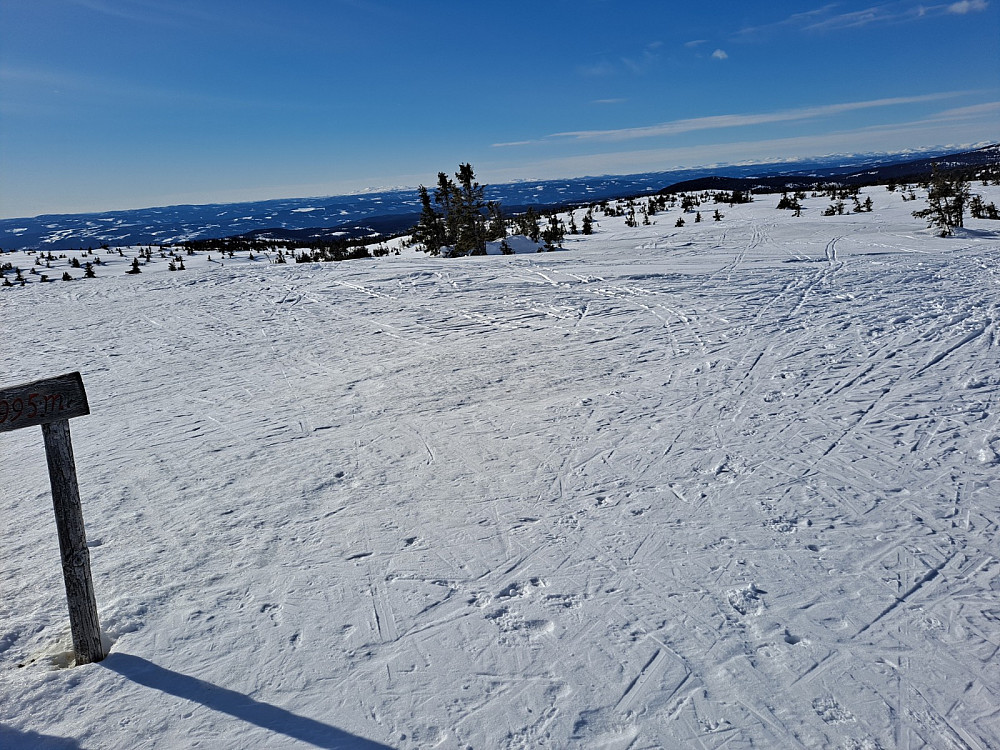 På Sjusjøfjellet