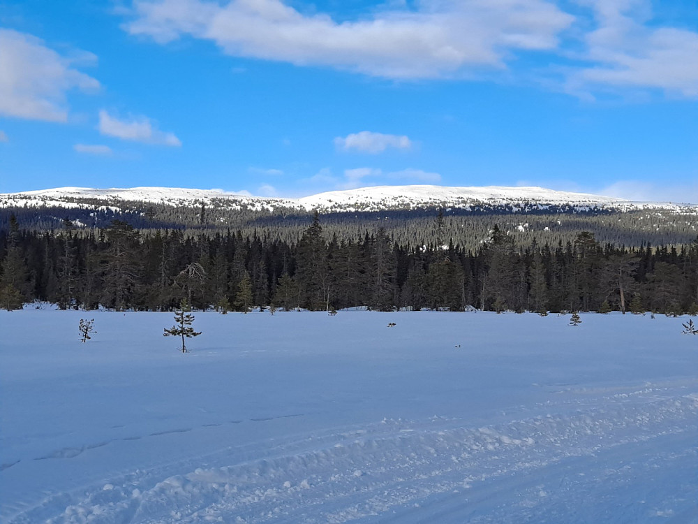 Kommet opp i Gropmarka, ser mot Slåseterfjellet og Nevelfjell