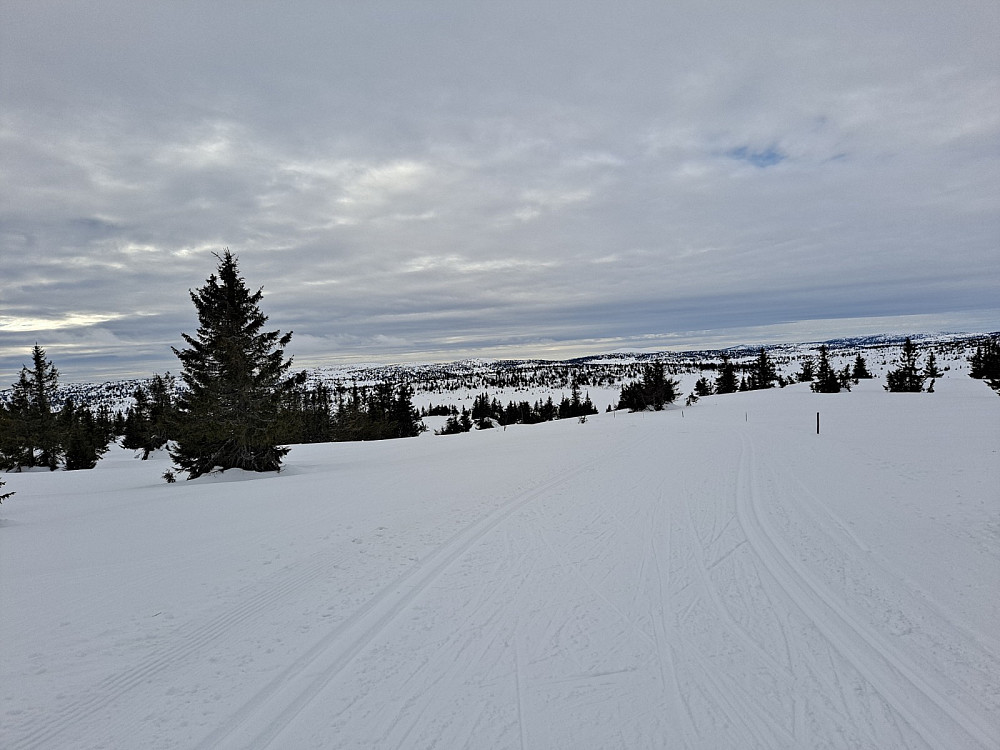 Ved Gjesbuåsen