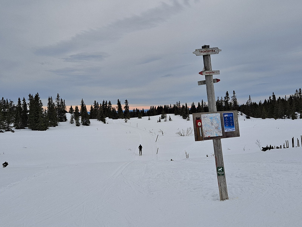 Ved løypekrysset på Trondsmyra