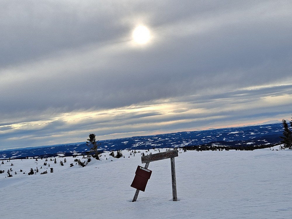 På Sjusjøfjellet