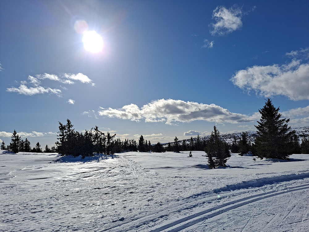 I løypa ved Gjesboåsen