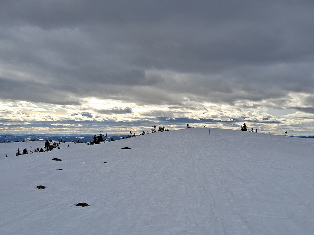 På Sjusjøfjellet øst