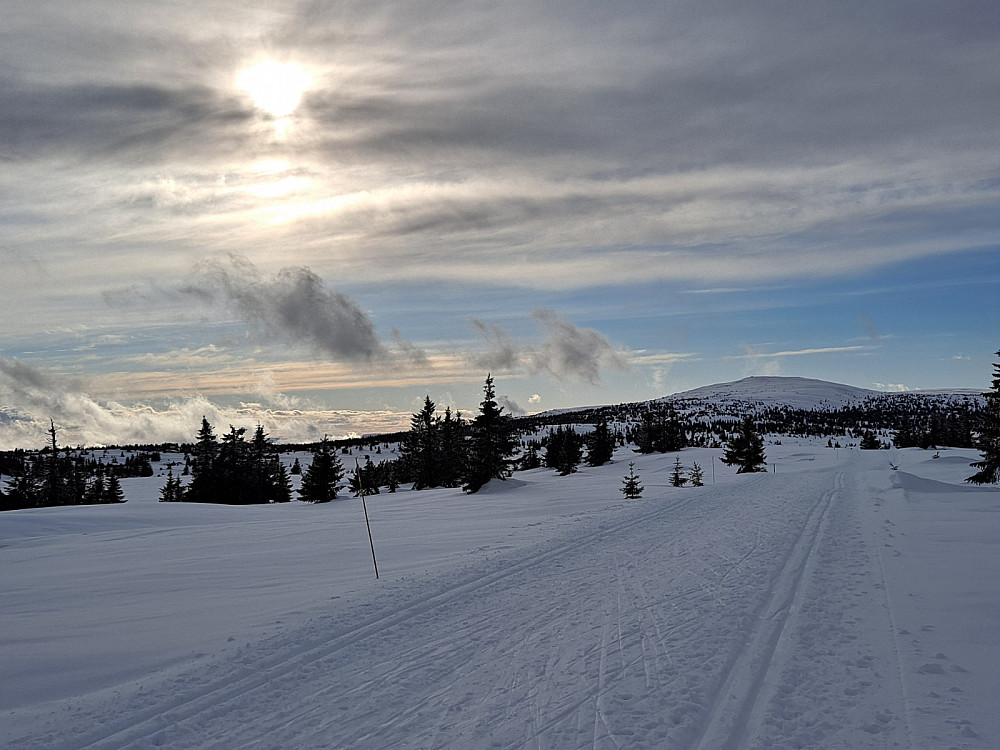 Mot Nevelfjell