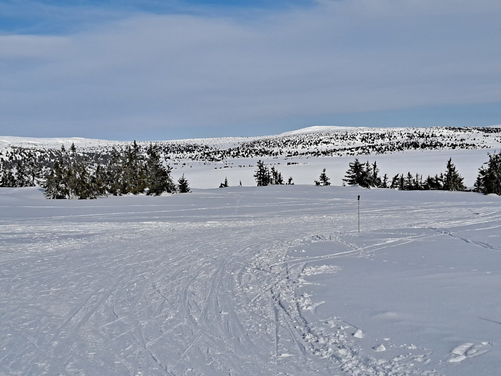 Nord for Nevelfjell, mot Kriksfjellet