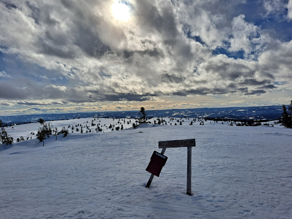 På Sjusjøfjellet