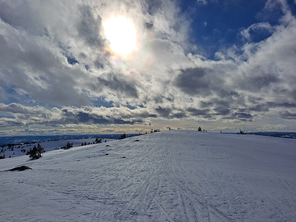 Fra Sjusjøfjellet øst