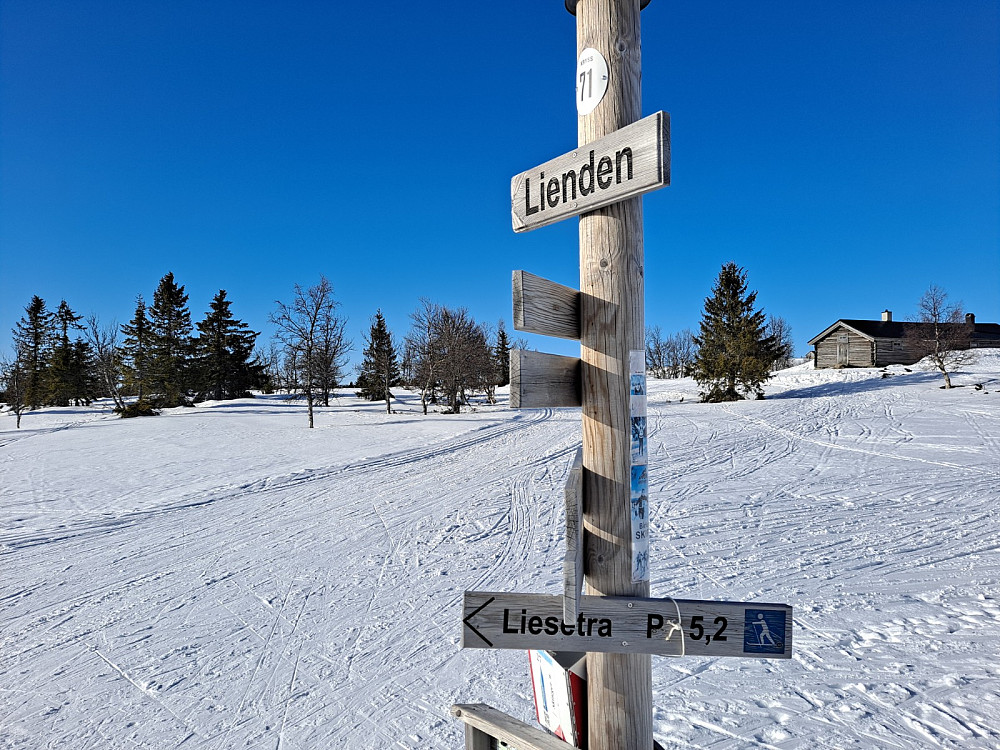 Ved Lienden