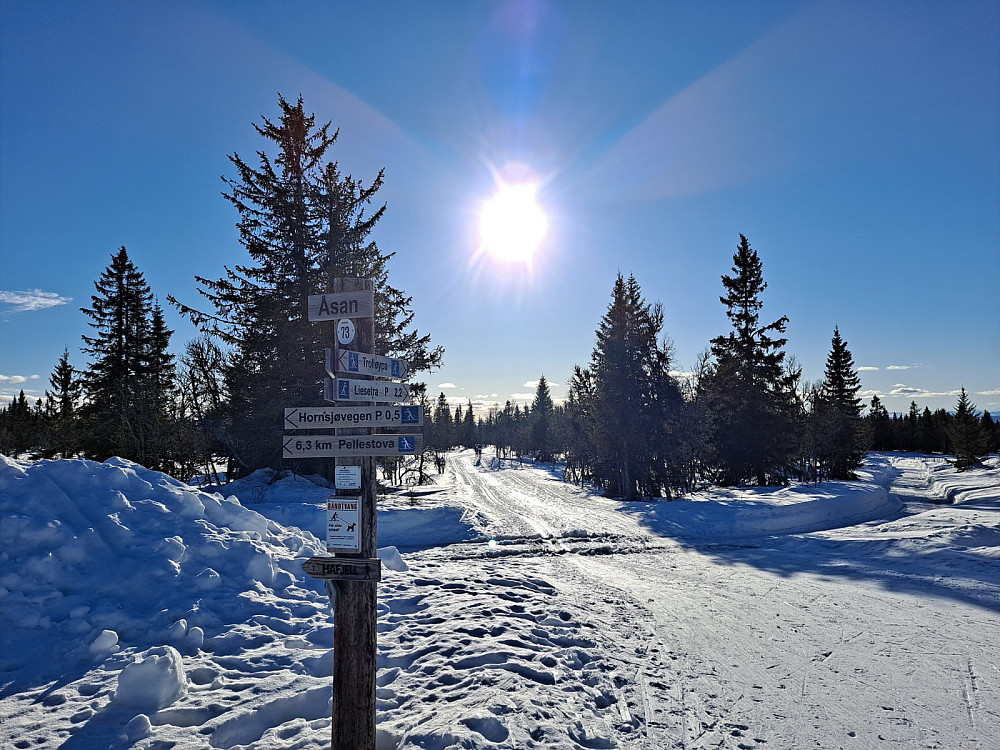 Ved Åsan