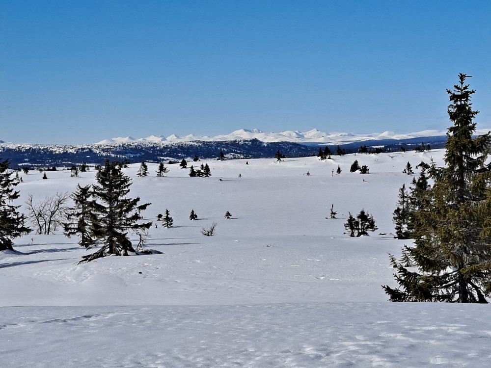 Ser mot Rondane