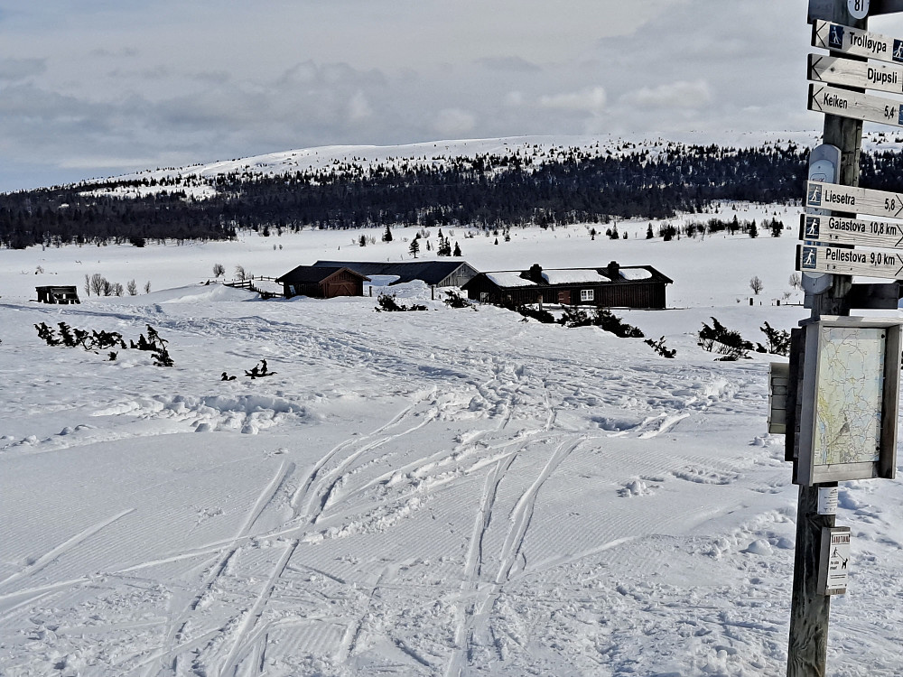 Ved Rognhaugen