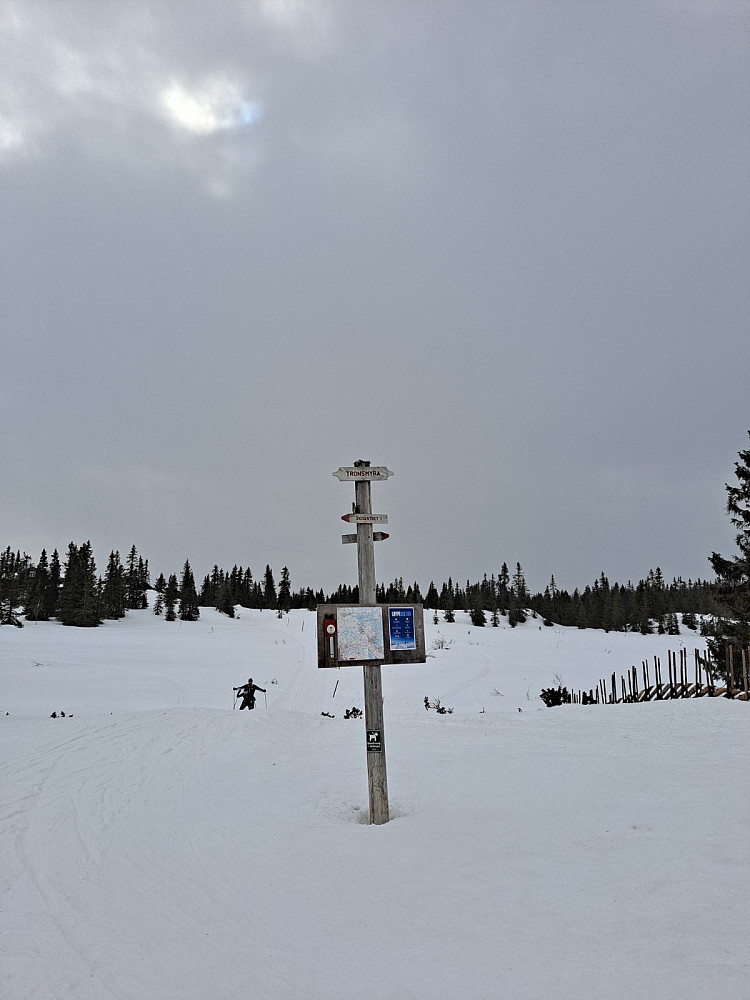 Ved Tronsmyra