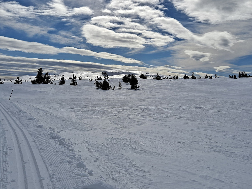 Innover Skjellbreidsfjellet
