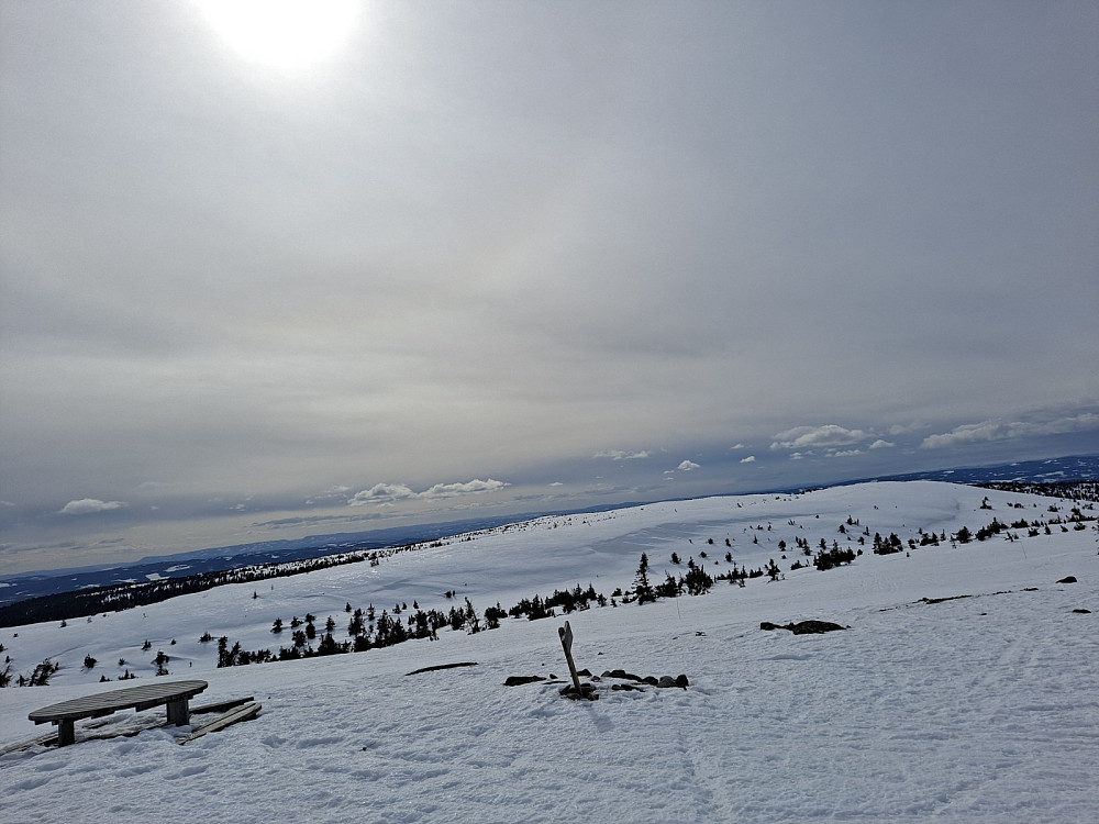 På Mostfjellet