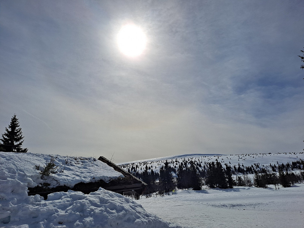 Ved Mistfjellkoia