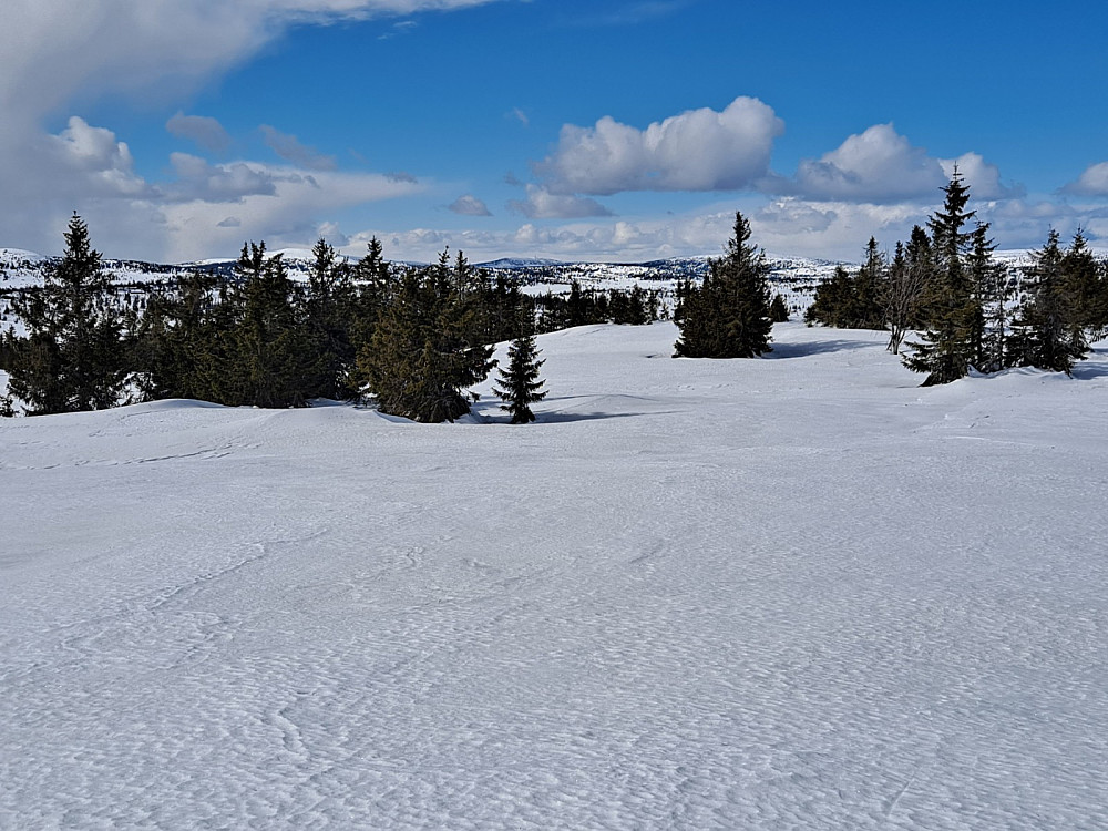 På Gjesboåsen