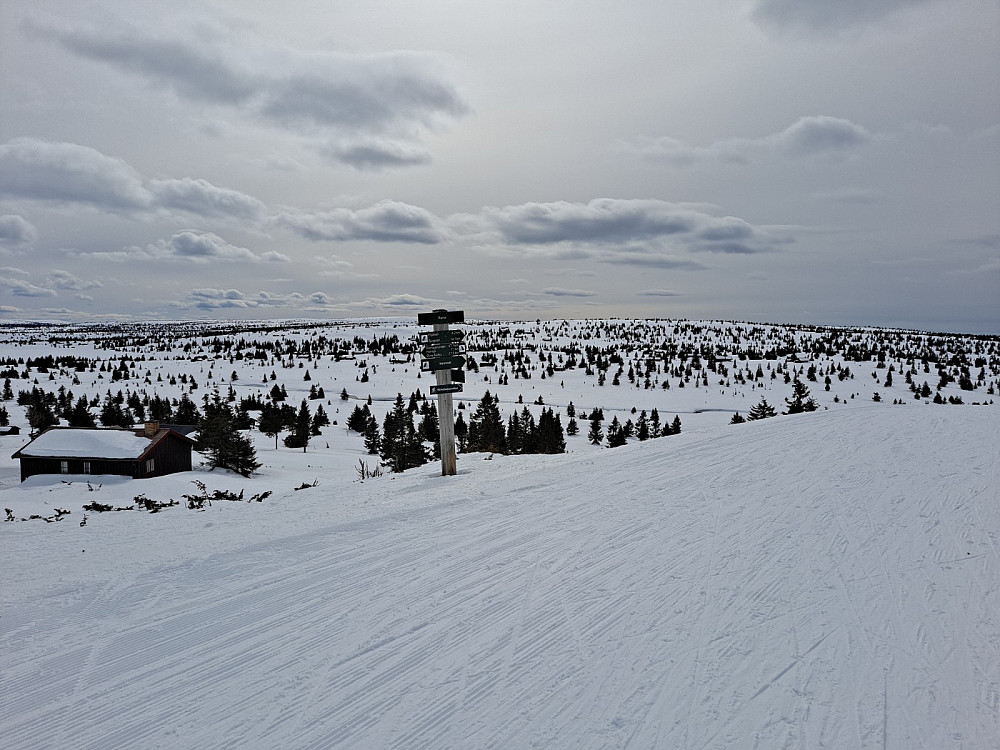 Ved Reinakrysset