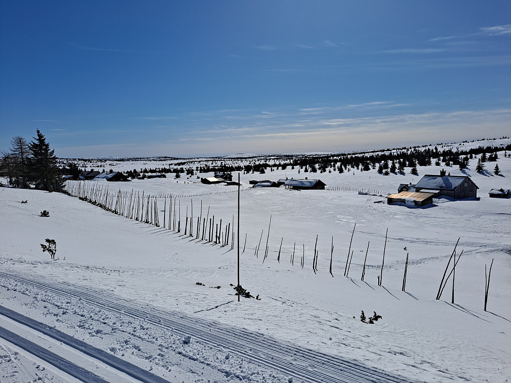 Ved Nysetra