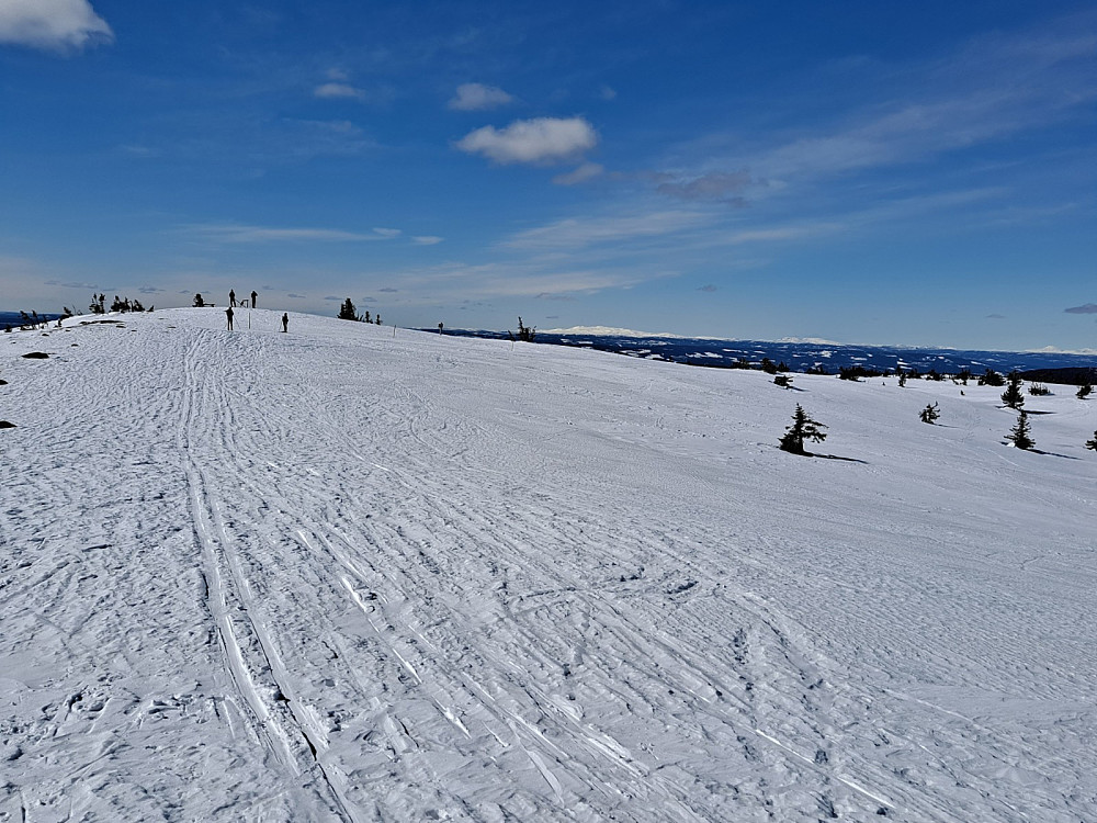Fra Sjusjøfjellet øst