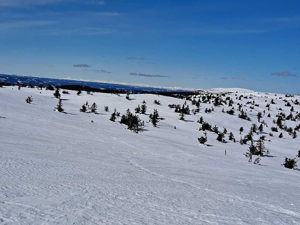 Fra Sjusjøfjellet øst