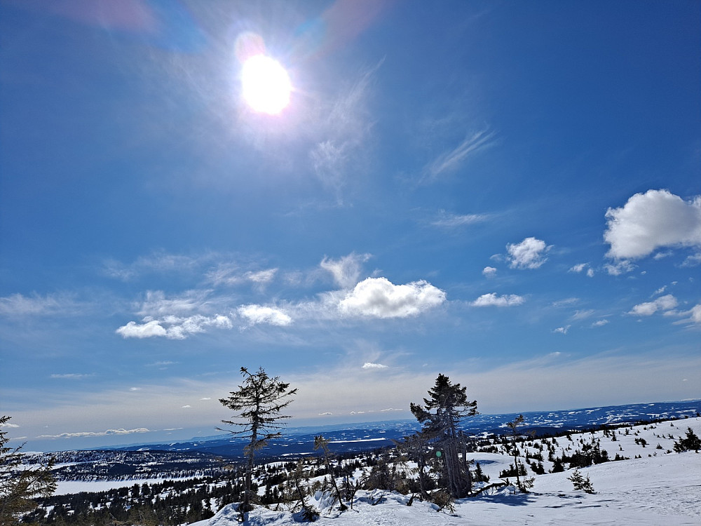På Sjusjøfjellet øst