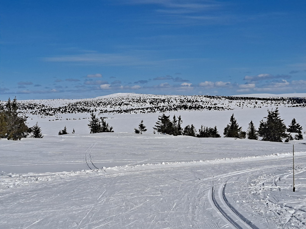 Nord for Nevelvatnet, mot Kriksfjell