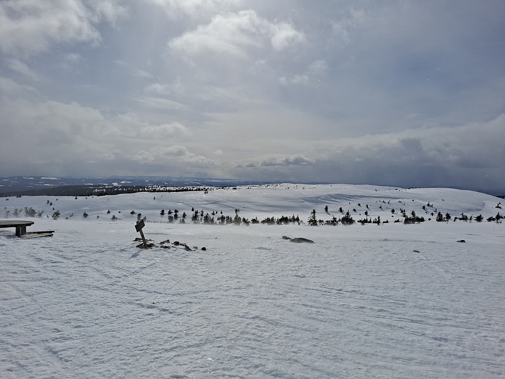 På Mostfjellet