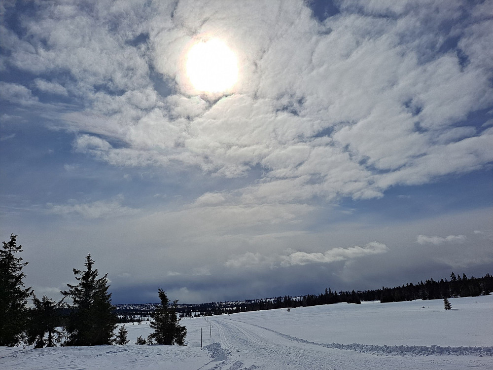 Ved løypekrysset Brua