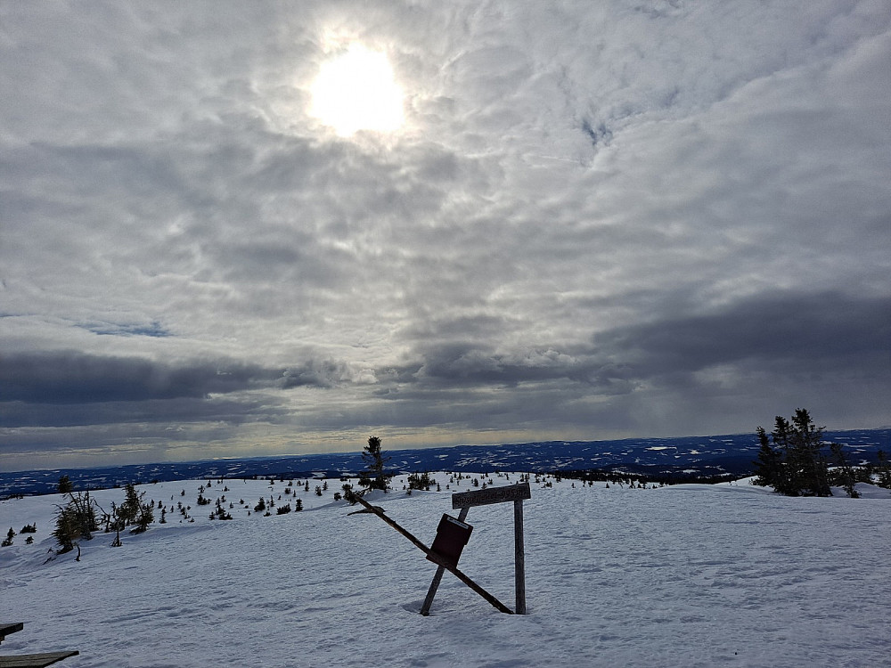 På Sjusjøfjellet