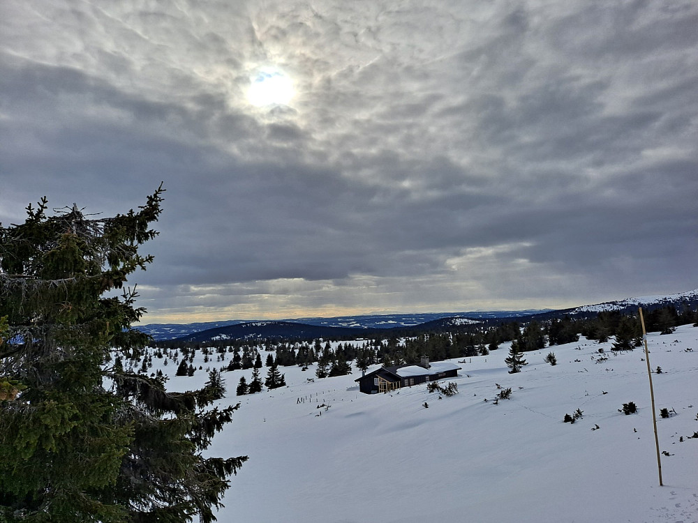 Ved Løvisåsen